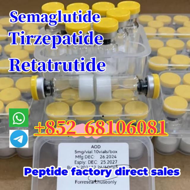 CAS 204656-20-2 Liraglutide