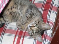  Roz�rka (4)