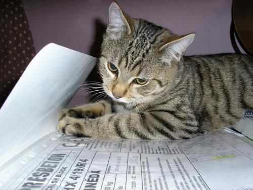  Ralf:  U v�eho mus�m b�t:-)