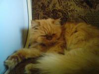  Takhle jsem v pohod�