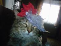  M�au d�ma Bety