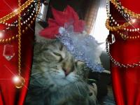  Divadeln� hv�zda Bety