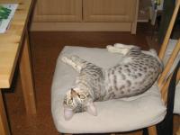  Chce� si snad sednout?