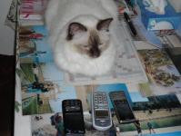  J� si chci v klidu lu�tit k�i�ovku, tak si ty telefony ber sama!