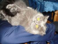  Zase m� tr�p�!