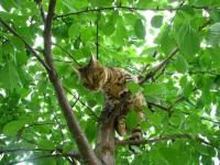 2.lekce stromolezen�. Je nutn� se pln� soust�edit na v�stup.