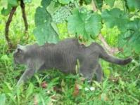  Hlavn� nen�padn�...