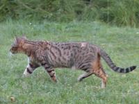  Jdu neomyln� za ko�ist�, lehk� krok to jist�...