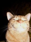  Dnes slav�me dva roky p�inesenin :))