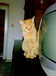  K�ja na druhou