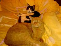  M�me se dob�e. K�ja a Filip