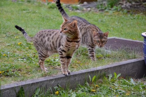  Alasca Arien:  Jo, sly�ala jsem ji..hele, zas tolik slunce nep�l�, to nebude �pal.