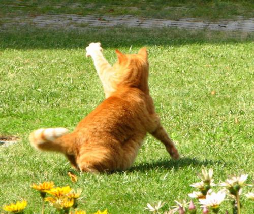  Wyome May Blobs, Cz:  Kondi�ku si udr�uju cvi�en�m. Raz, dva t�i �ty�i...
