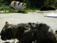  Je���ku, dobrou chu�! Chutn� ti?
