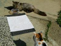  Ale, kdybys n�hodou nemohl, j� to r�da dojedu!
