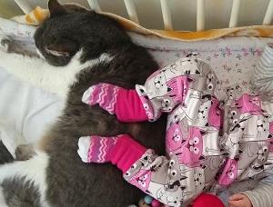 Jak na mě byly stížnosti a dvounohá se rozhodla mě darovat