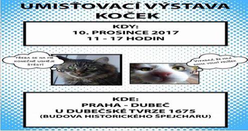 Umsovac vstava koek v historickm pejcharu v Praze Dube - 10. prosince 2017