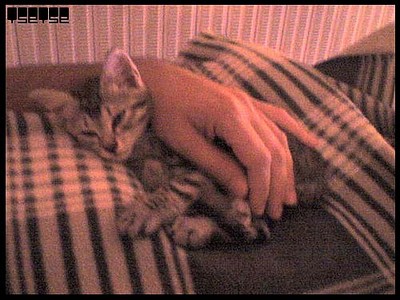 Monty (4): Montek :)