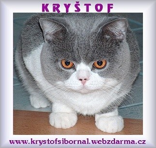 EC Krytof Sibornal*CZ: Krytof portert