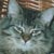 Tyrell Betwixt And Between