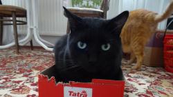 Začínám okusovat, ať toho stihnu ohryzat co nejvíc.