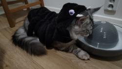 Nevku, mn ho oblkla taky