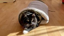 Jsem tunel &#128571;