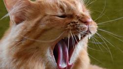 1/2 Zuzano, koukej m jt umejt, u se mi chce spt.