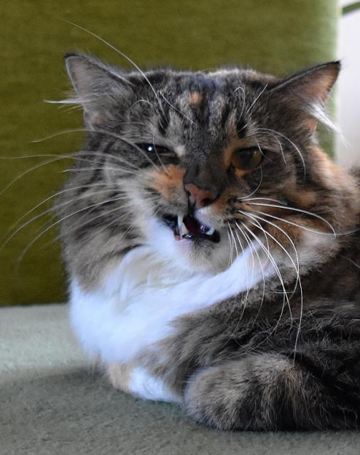 2/2 Se umej sm, drzoune.