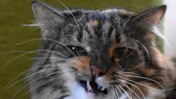 2/2 Se umej sm, drzoune.