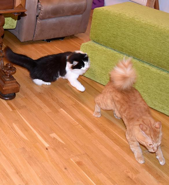 2/2 Krypno, j s tebou baletit nechci, radi zdrhnu.