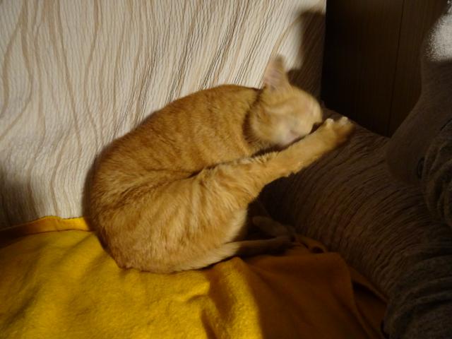 Musm to honem napravit.