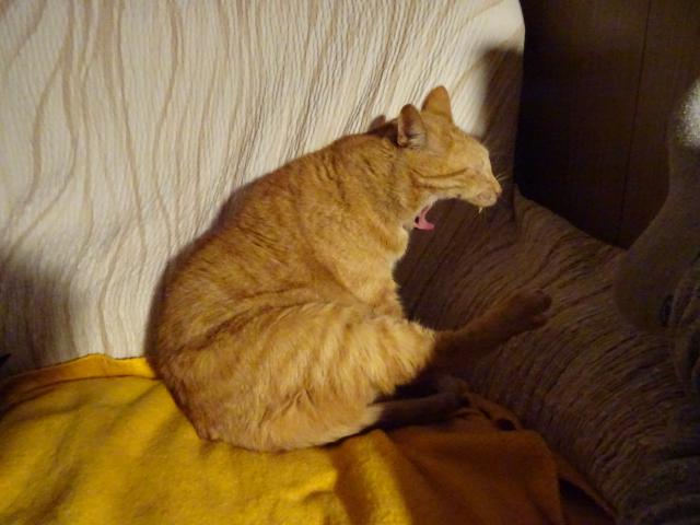 Te u mu jt klidn spinkat. Vm taky peju dobrou noc.