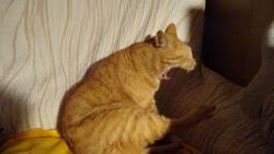 Te u mu jt klidn spinkat. Vm taky peju dobrou noc.