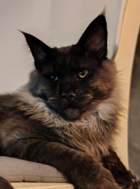 Foto do obanky &#9786;&#65039;