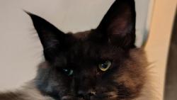 Foto do obanky &#9786;&#65039;