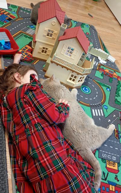 Hledej modrou sa &#128514; rl a to je dobe. Toto je m mazlc chvilka