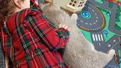 Hledej modrou sa &#128514; rl a to je dobe. Toto je m mazlc chvilka