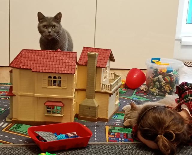 Jak sa! A kdo pomazl mj kouch?