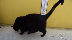 Do rána se tady zase objevilo to hnusné mokré a studené fúúúj.