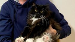 Žolino, neřvi, ty toho naděláš! I já jsem byl lapen a koukej jak hezky sedím :-)