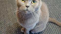 Krásnou adventní neděli přejeme 🌲