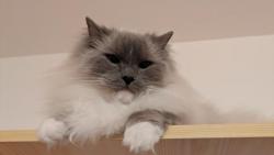 Všechno mám pod kontrolou