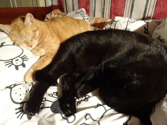 Ale jakmile �anta vyprch�, tak mi, jak se ��k�, spadne �emen a mus�m j�t okam�it� nabrat s�ly do postele. :-