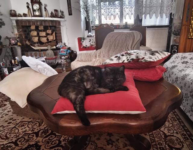 Tohle nem� obdoby: stoj� za pov�imnut� mno�stv� t�ch pol�t���. Div�m se, �e nejsou i na zemi, kdyby se ve sp�nku p�eto�ila a spadla.-))