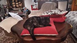 Tohle nem� obdoby: stoj� za pov�imnut� mno�stv� t�ch pol�t���. Div�m se, �e nejsou i na zemi, kdyby se ve sp�nku p�eto�ila a spadla.-))