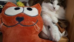 Tak kter� z nas je hez��?