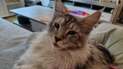 Sv�domit� zah��v�m pani�ku