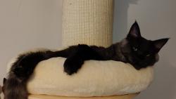 ...tak jsem si dal zaslou�en� zd��mnut�.