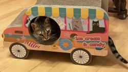 D�rek od M�auje��ka je super 😊